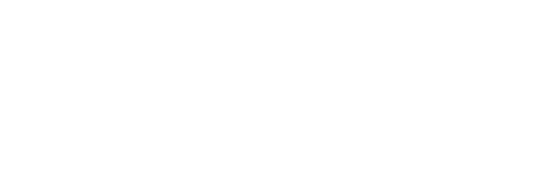 Diex International