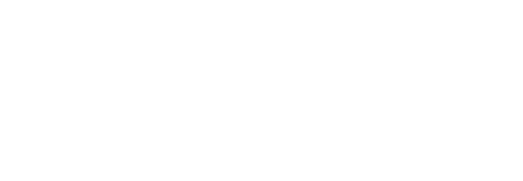 Diex International